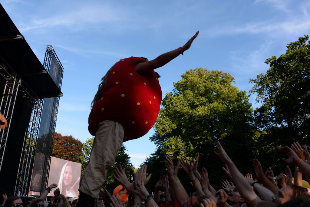 ../Images/Castlefest 2017 zondag 226.jpg